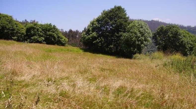 Asturias - El Barriu Azul - 1200m2