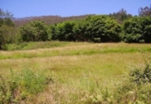 Sòl urbà en venda a Grado ref.: TR54126 foto