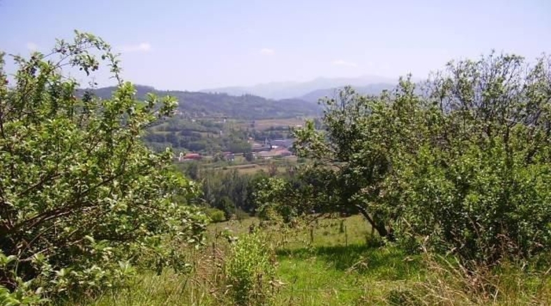 Asturias - Murias - 600m2