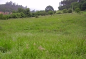 Sòl urbà en venda a Lazana ref.: TR54122 foto
