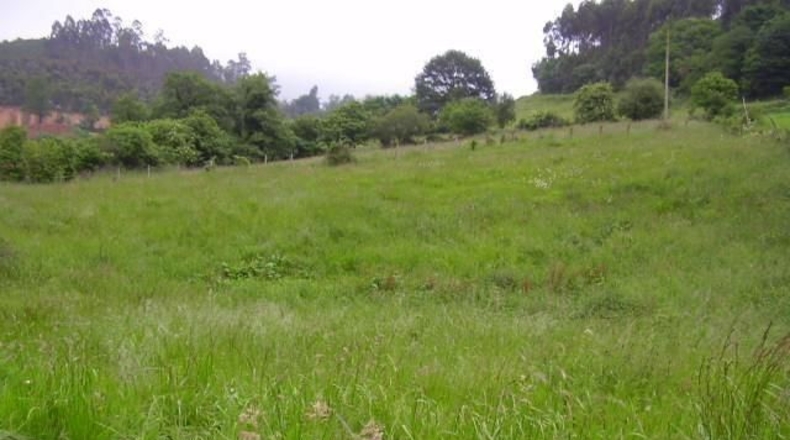 Asturias - Llazana - 1540m2