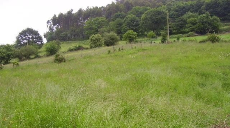 Asturias - Llazana - 1540m2