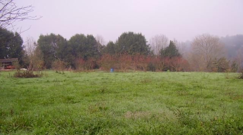 Asturias - Sandiche - 2600m2