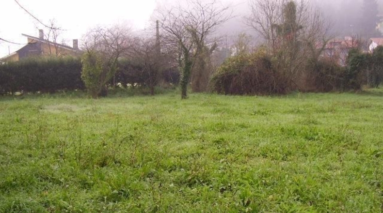 Asturias - Sandiche - 2600m2