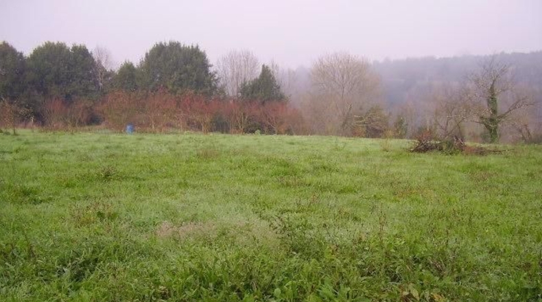 Asturias - Sandiche - 2600m2