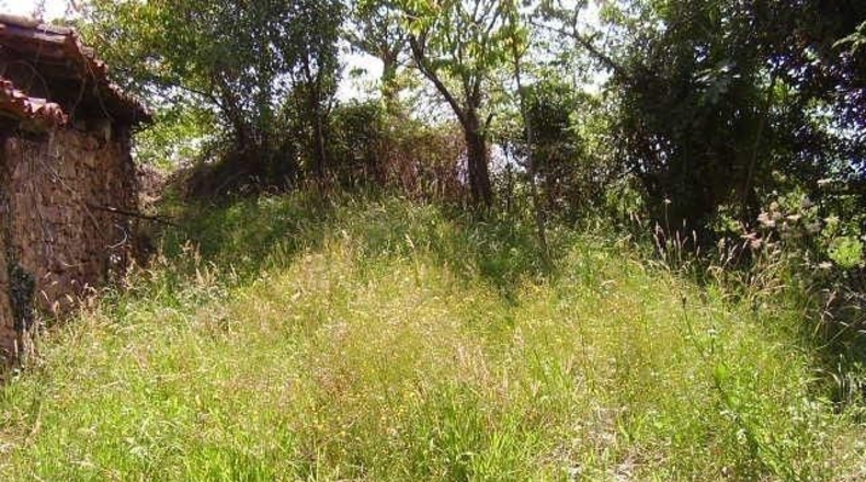 Asturias - San Pelayo - 150m2