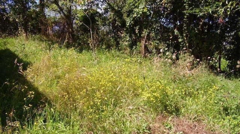 Asturias - San Pelayo - 150m2