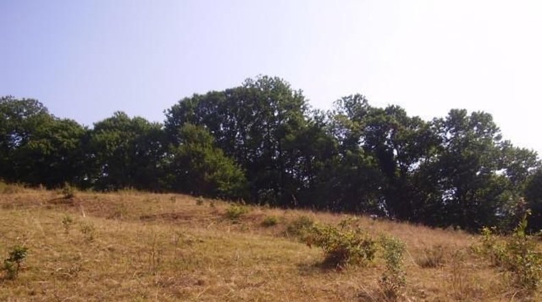 Asturias - Proaza - 11000m2