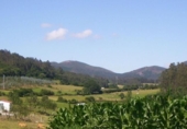 Sòl urbà en venda a Lazana ref.: TR54115 foto