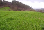Sòl urbà en venda a Lazana ref.: TR54115 foto