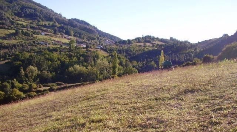 Asturias - Candamín - 1650m2