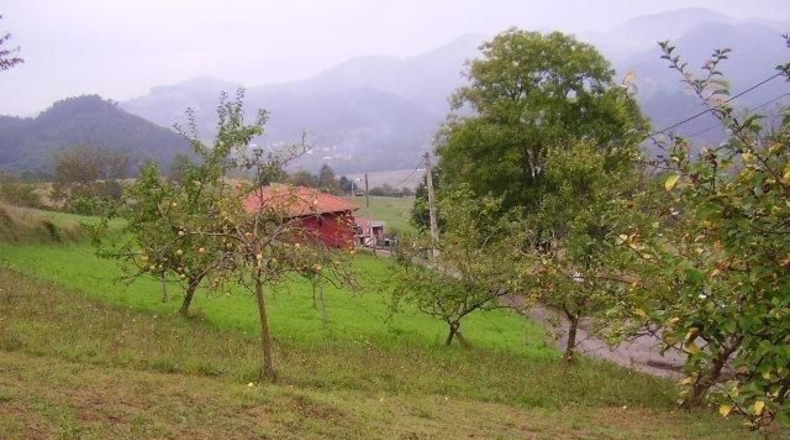 Asturias - Praúa - 442m2