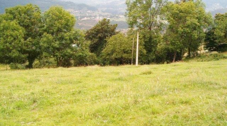 Asturias - El Caleyu - 889m2