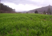 Sòl urbà en venda a Las Cruces ref.: TR54107 foto