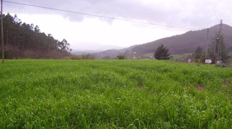 Asturias - Sotu - 987m2