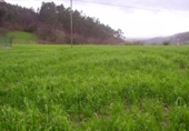 Sòl urbà en venda a Las Cruces ref.: TR54107 foto