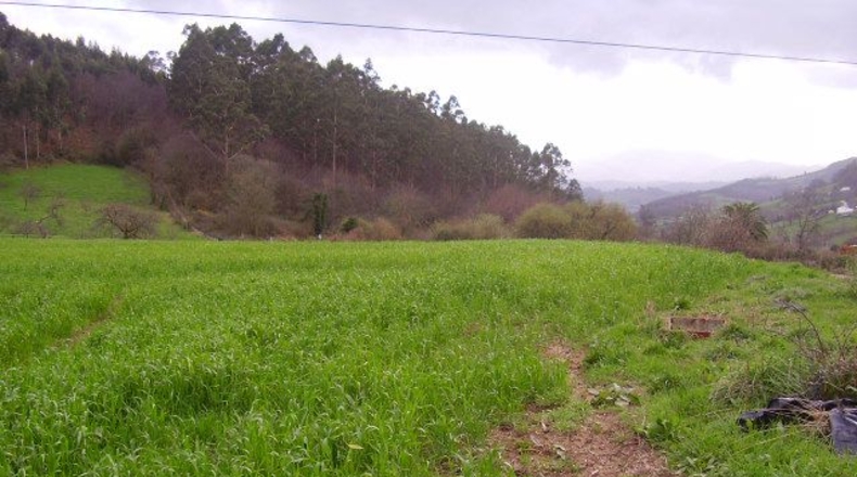 Asturias - Sotu - 987m2