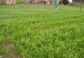 Sòl urbà en venda a Las Cruces ref.: TR54107 foto