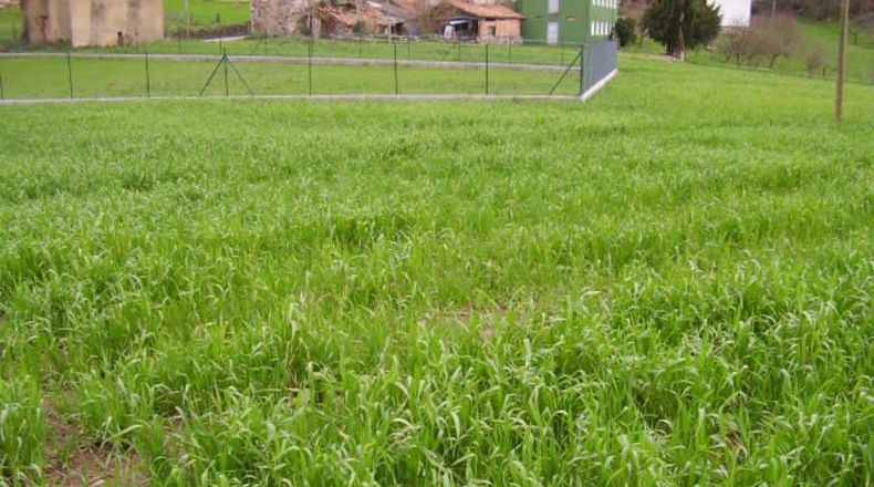 Asturias - Sotu - 987m2