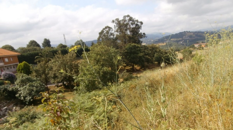 Asturias - La Venta de Escamplero - 773m2