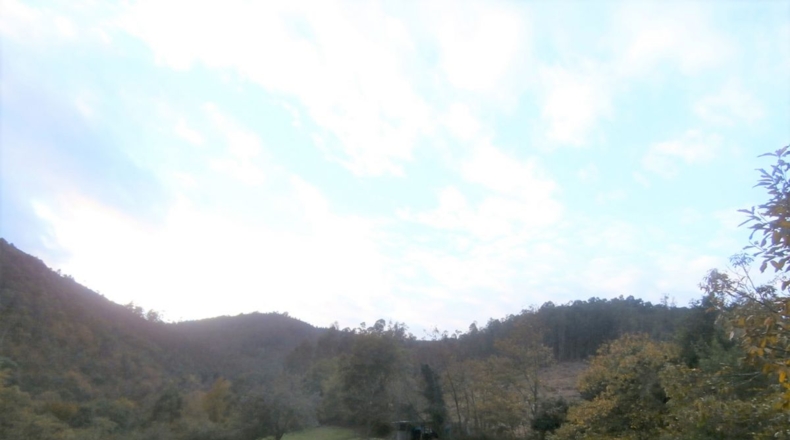Asturias - Llandriu - 1796m2