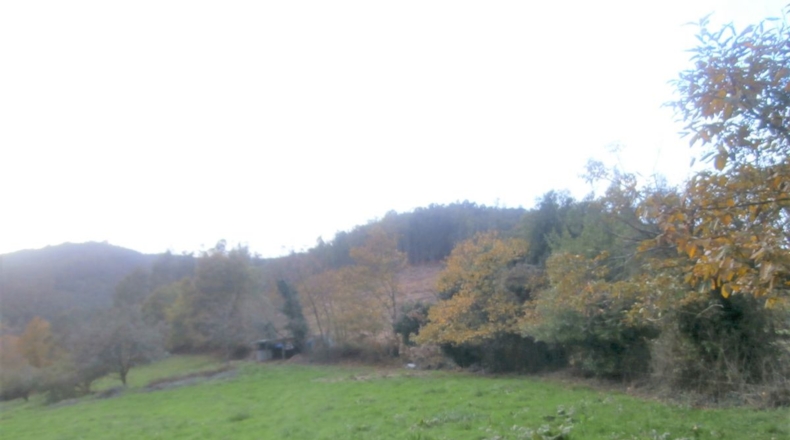 Asturias - Llandriu - 1796m2