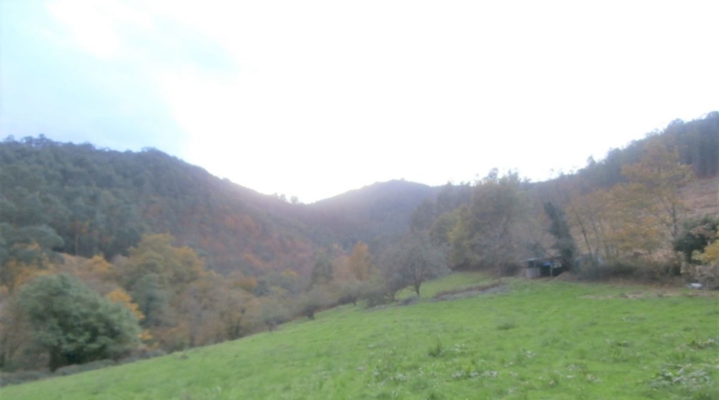 Asturias - Llandriu - 1796m2