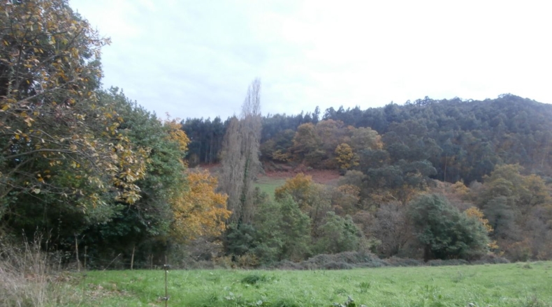 Asturias - Llandriu - 1796m2