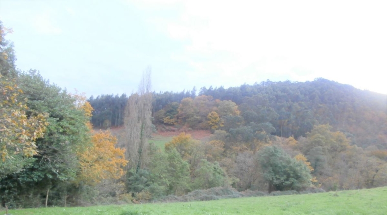 Asturias - Llandriu - 1796m2