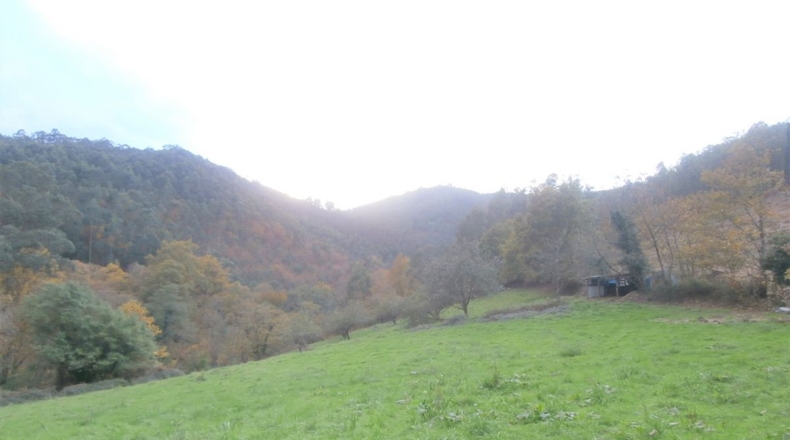 Asturias - Llandriu - 1796m2