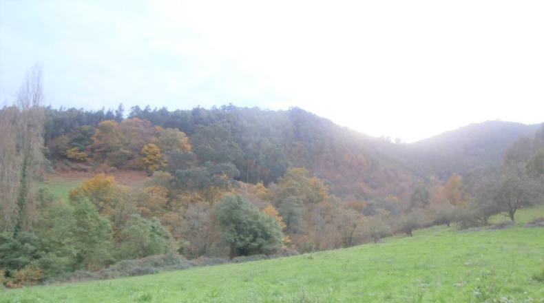 Asturias - Llandriu - 1796m2