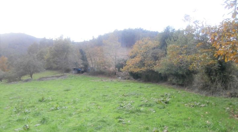 Asturias - Llandriu - 1796m2