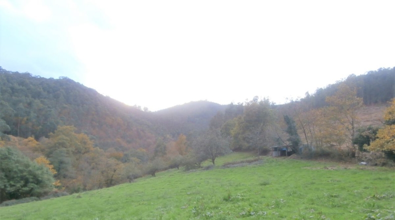 Asturias - Llandriu - 1796m2
