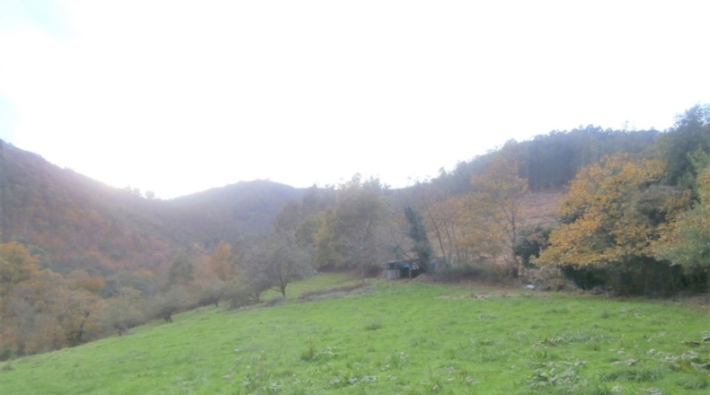 Asturias - Llandriu - 1796m2