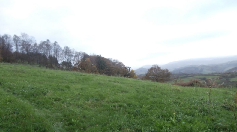 Asturias - Mariñes - 5100m2