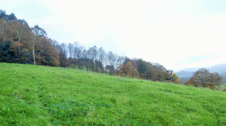 Asturias - Mariñes - 5100m2