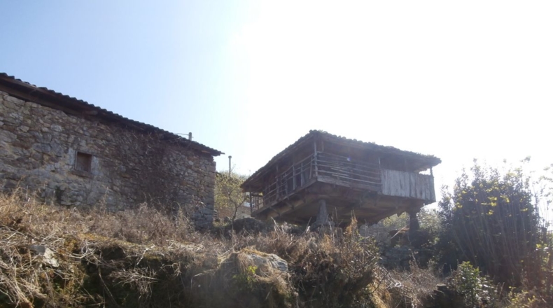 Asturias - Villagarcía - 1132m2