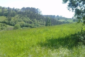 Las Cruces 1200&nbsp;m² 