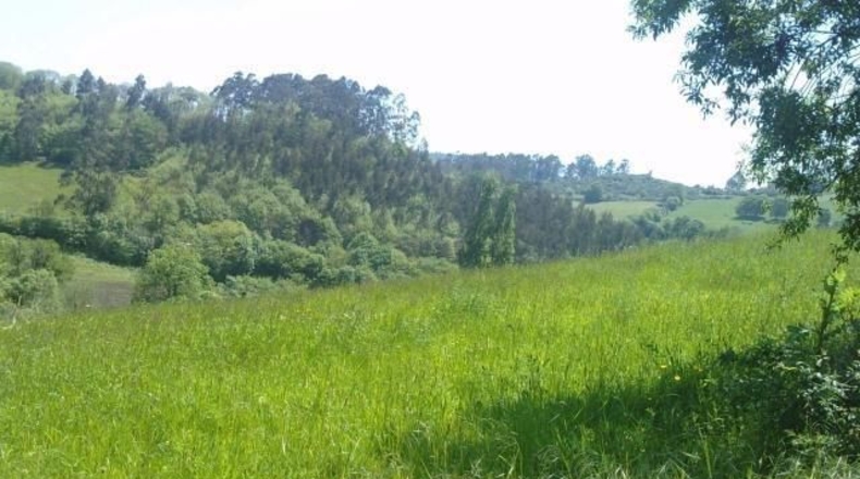 Asturias - Sotu - 1200m2