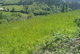 Las Cruces 1200&nbsp;m² 