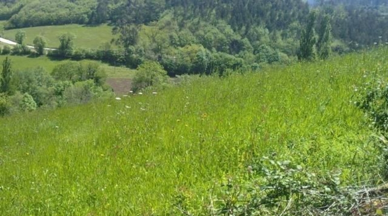 Asturias - Sotu - 1200m2