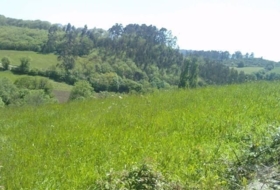 Las Cruces 1200&nbsp;m² 