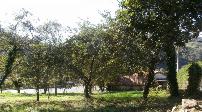 Asturias - La Sala - 2289m2