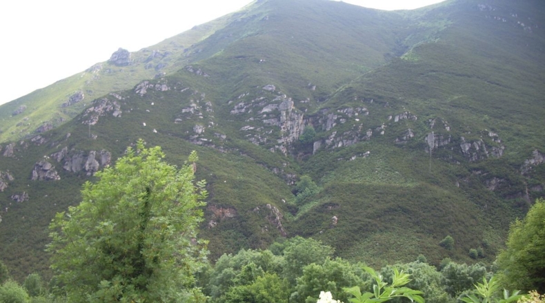 Asturias - San Pelayo - 800m2
