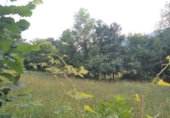 Non-developable land for sale on España, Grado, ref: TR54432 photo