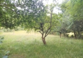 Non-developable land for sale on España, Grado, ref: TR54432 photo