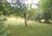 Non-developable land for sale on España, Grado, ref: TR54432 photo