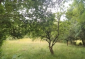 Non-developable land for sale on España, Grado, ref: TR54432 photo