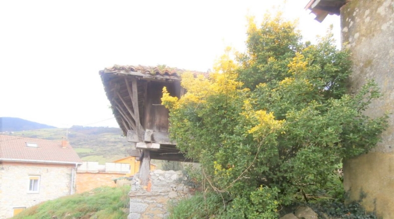 Asturias - Sandiche - 50m2