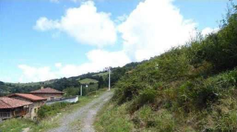 Asturias - Gijón - 2200m2